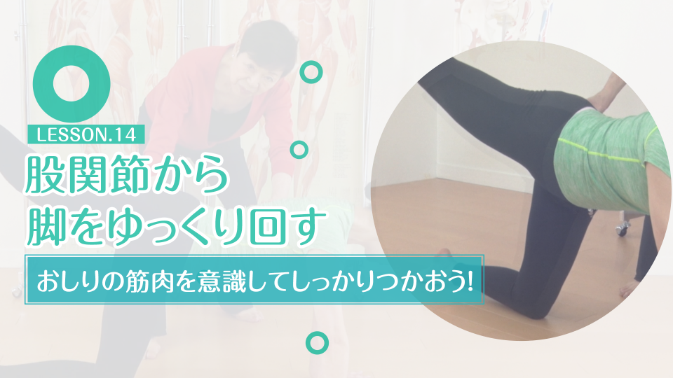 股関節から脚をゆっくり回す おしりの筋肉を意識してしっかりつかおう ネットできくち体操 股関節から脚をゆっくり回す おしりの筋肉を意識してしっかりつかおう ネットできくち体操